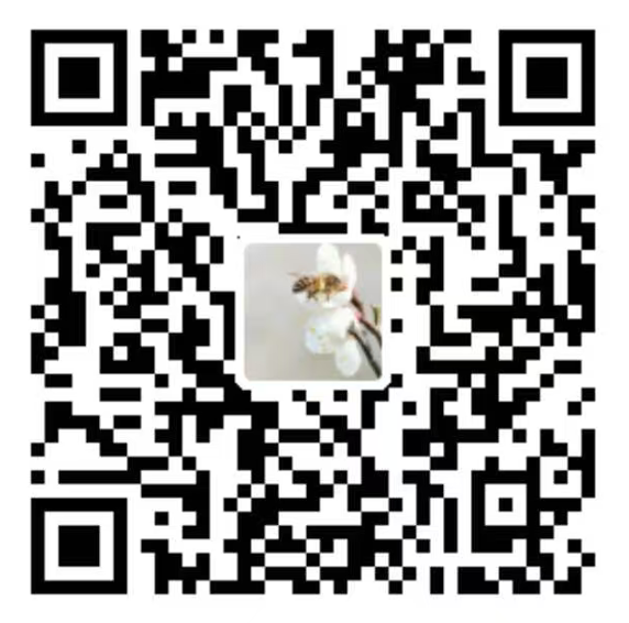 Alipay QR